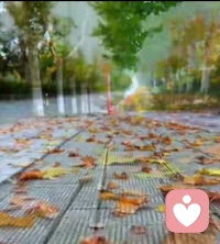 人成熟的一個標志就是：不再急著與人辯駁自己的看法。也逐漸明白，不是所有人都生活在同一片海里，經歷不同，三觀不同，對一件事的看法也一定會有所不同。這個世界，看似周遭嘈雜，各色人等，泥沙俱下，本質上，還是你一個人的世界。你若澄澈，世界就干凈；你若簡單，世界就難以復雜；你若心存美好，眼見皆美好。配圖