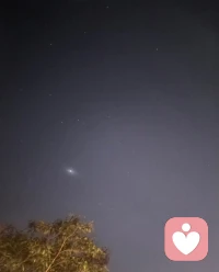 “人生無論怎么選都會有遺憾 但人們總認為沒走過的那條路上開滿鮮花.”配圖