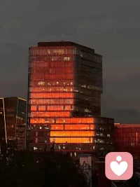 個體成長最重要的地方~原生家庭，常常是一個人成長卡點的起源。父母強勢、過度保護、冷漠、忽視、缺位等不恰當的養育方式會導致個體心理能量被卡住。
比如，一個有消極父親情結的人，內心一直有一個暴怒的爸爸，以至于他看到一些性格強勢的人，就莫名討厭或緊張，嚴重影響到他與上司的關系，影響事業發展。
或者一個女人談戀愛，總是喜歡粘著男朋友。她無法容忍只有自己一個人在家，如果男朋友回家晚了，她會大發雷霆。她可能知道，是因為小時候她常常一個人在家，她不喜歡這樣。她不知道的是，那時的委屈、憤怒、害怕以及對父母陪伴的渴望，都被壓抑到無意識里，卻在親密關系里被喚醒。

?配圖