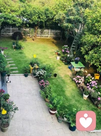 看著來訪者陽光自信的笑臉，我感到特別欣慰！這個世界光明盛大，孩子，再見，去開創你美好的明天吧！你開心的時候，請忘記我，你不快樂的時候，我與你同在！配圖