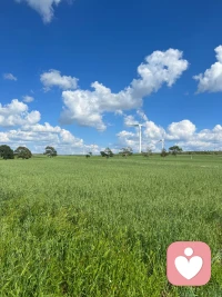 一個人如果總是生活在惡言惡語中，他就會潛移默化地認為自己不是一個好的和有價值的人，所以他需要通過虐待自己來懲罰自己。配圖