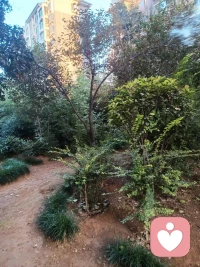 當(dāng)一個(gè)家庭里某個(gè)成員出現(xiàn)某種困難或問題，
考驗(yàn)我們的是整個(gè)家庭面對這個(gè)困難或問題的情緒和對待事件的心態(tài)。
穩(wěn)定的情緒和好的心態(tài)是事件的定海神針。
話，說出口容易，做到卻需要不一般的心理的歷練。
我們的焦慮，還有連帶的過度的反應(yīng)都是來自于我們整個(gè)人對事件的表現(xiàn)太緊張了。
?需要按下暫停鍵的時(shí)候，就果斷的按一下吧。配圖