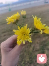 一個普通人該有的心態：
我沒那么好，也沒那么優秀，我也會嫉妒、自私，我也會焦慮、抑郁，我也有煩惱、痛苦，這就是真實的我:一個凡人。我不完美的地方才是我獨特的地方，才是我與眾不同的地方，才是愛我的人因之愛我的地方，至于不愛我的人，我怎樣與他何干，他怎樣與我何干，視如空氣就對了，好好吃我的瓜過我的日子[吃瓜]配圖