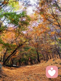 擁有豐富生命體驗和入世智慧，被生活打碎過，又靠自己的力量真正站起來，走完了屬于自己的英雄之旅；再在咨詢實踐中身經百戰。這樣的咨詢師說出來的話很少是書本上的二手知識，而是一手經驗的萃取提煉。配圖