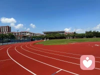 人生沒有白走的路，每一次經歷都有其獨特的意義和價值。
      周末的早上，和高二學生小D相約去公園散步。他是一個聰明、善良、成績優秀、做事認真、上進的學生。骨子里不服輸，追求完美。
      認識小D已經快兩年了。根據醫生診斷，他患有抑郁癥，一直在服藥。
       深秋的早晨，空氣清新。我們邊散步邊交流。聊起最近的學習和生活，小D說，自己降低了學習目標，焦慮和壓力減輕了很多。
        之前很多時候，他的痛苦源自于和別人攀比。尤其是在學習方面，看到有同學超越自己，內心很不舒服?，F在，調整了認知，考取自已認可的民辦本科學校也能接受。
        這次交流，是認識小D以來最開心、順暢的一次。或許是堅持服荮的效果、或許是父母的變化。
        談及父母的改變，小D告訴我，能感受到媽媽的變化，和媽媽溝通很開心，有時一起溜狗，母子在一起很交流的話題很多。
        爸爸改變在于和他溝通時情緒平和多了。而且能夠聽他把話說完，能理解他了。他們父子一起散步的時間增多了。聊到父親的變化時，小D充滿童趣的一句話讓我深深地被觸動了：他懷疑父親變化這么大是不是偷吃了他的藥。
        是啊，父母的學習和改變是孩子走出困境的前提。
       贈人玫瑰則手有余香，成就別人也是幫助自己。和小D的散步和交流，有益于他的進步，也豐富了我的閱歷。配圖