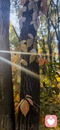 “與象征層面的母親建立穩定、持續的關系，是發展一切其他關系的基礎。”配圖