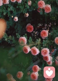 生活的愉快的關鍵，在于先去選擇必要的東西，然后去熱愛所選擇的東西。
?配圖