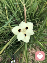 為什么原生家庭會深刻地影響我們？

孩子小時候大腦原來是空的，是父母填充進關(guān)于這個世界的樣子！
父母的言談舉止，塑造著我們對這個世界的理解和認識。
他們的語言，行為，會長驅(qū)直入孩子心里，在那里打下深刻的烙印。孩子就用這個去認識看待世界，處理事情。
通俗地講，父母給孩子一個看世界看自己的鏡片，孩子用它去看世界看自己。并指導自己行動。配圖