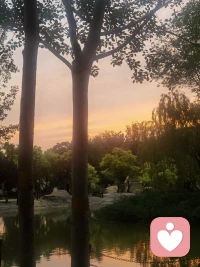 昨天的咨詢今早接到小來訪者媽媽的反饋:

      孩子回到家對自己和爸爸的態度發生了很大的變化，并且在12點前自覺睡了覺，早上7:20拿起了課本……
      
     來訪者初三 女  剛開始不上學，在家作息不規律，黑白顛倒，跟父母關系緊張，來做咨詢，在咨詢室孩子和父親吵了起來，母親一旁流眼淚……

咨詢感悟:孩子對父母的在乎程度遠超父母的認為，只是有時候父母不知道罷了 ，父母陽光，孩子健康！配圖