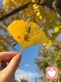 評價任何一個親密的關系是不是有利，主要就是看雙方是不是在這種關系里能夠得到滋養和成長，不然的話，這種關系就沒有必要去維系。配圖