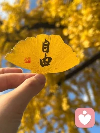 大家都習慣待在陽光底下，

但心理咨詢師要習慣待在人性的陰影中。

別人帶著痛苦來求助咨詢師，

而咨詢師還可能要讓他帶著痛苦離開。

讓他帶著快樂離開不一定是我們咨詢師的責任，

但是我們能夠陪伴他，使他能夠待在痛苦中，

能夠去承受這些痛苦，這才可能是我們的責配圖