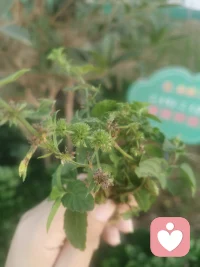 在親密關系中，我們都需要學會對自己負責，我只需要表達關心和支持就好，越界的過火的愛會讓雙方都很沉重。配圖