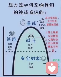 壓力如何影響我們的神經系統的！配圖
