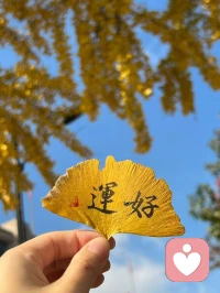 人生，只有你自己想努力，才能真正的努力，這是任何人都無法用逼迫讓你達到的目的，它只能是出由你自己內心的意愿，你才會真正的著手去調整，去完善，去提升，去塑造一個更好的自己。配圖