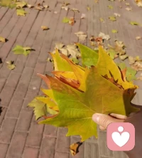 可能，所有你所抱怨的、你所憤怒的、你所不能理解的，僅僅只是因為認知的高度、范圍、深度還不夠。只是看到自己想看到的，維護自己想維護的，爭辯認為值得爭辯的，換個身份、場景、結果導向，一切都不同。配圖