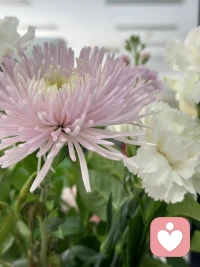 父母給孩子無條件賦能，讓孩子產生自我價值感很重要。我們國家那么多高官、大企業家婚戀的歸宿是主持人、演員，無非是用外在價值滿足自我價值，和發財了的人買名牌包無異。配圖