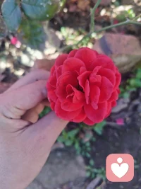 當你的知識積淀的越來越多，然后得以名師的指點，再加上生活的折磨，終究會有開悟的那一刻！從開悟的那一刻的起，你的內心變得堅韌而又有力量，然后你的人生就會慢慢地向更好的方向走去！配圖