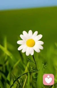 我們的心理能量其實遵循一個樸素的經(jīng)濟學原理,即“收支平衡”。你怎么對我，我怎么對你:你對我好，我就對你好;你對我?guī)追趾茫揖蛯δ銕追趾?你對我不好，我就對你不好。如此，心理能量達到平衡，我們的心理狀態(tài)也就平穩(wěn)健康。一旦這個平衡遭到了破壞--你對我不好，我卻得對你好--這個時候，我們的心理狀態(tài)就會失衡，痛苦和焦慮也會隨之產(chǎn)生.配圖