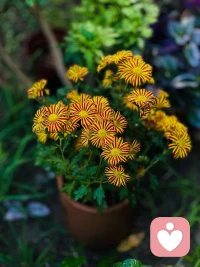 時間在不斷篩選你身邊的人和事
過去事，過去人，笑笑就好
現在事，現在人，盡心就好
未來事，未來人，隨緣就好
境隨心轉則悅，心隨境轉則煩配圖