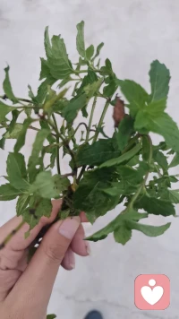 真正的松弛感，是一種平和的心境，是能夠坦然、從容面對問題的態度，它不止是個人的生活理念，也是一個家庭需要具有的氛圍。配圖