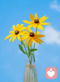 一，批評：愛情不是指責，而是包容。當夫妻間只剩下批評，那這段感情就離破裂不遠了。
二，看不起：尊重是婚姻的基石，如果連最基本的尊重都沒有，那么這段婚姻也就失去了意義。
三，強勢：婚姻不是一方的獨裁，而是雙方的平等。如果一方總是強勢，那么這段婚姻就會失去平衡。
四，冷戰：冷戰只會讓問題更加嚴重，而不是解決問題。如果夫妻間總是冷戰，那么這段婚姻也就走到了盡頭。
五，抱怨：抱怨不能解決任何問題，反而會讓你的婚姻變得更加痛苦。如果你總是抱怨，那么你的婚姻也就無法持久。配圖