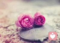 容易讓孩子受傷害的父母——“沒長大”的父母 ，這樣的父母在不斷重復童年的傷痛！
     很多從小被父母傷害過的孩子，都覺得“等我有了孩子，我一定不會這樣對待他。”
     事實上，從小沒有被好好愛過的孩子，也難以學會正確地愛自己的孩子。因為做了父母之后，在意識層面，會把孩子當成自己的內(nèi)在小孩，努力補償曾經(jīng)受傷的自己，但在潛意識層面，他們又會嫉妒孩子，孩子的快樂會激起他們內(nèi)心的傷痛。父母往往會通過“重復”過去的方式，操控孩子的人生。
?配圖