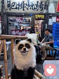 如果你覺得安全、感到被愛，你的大腦就會特別擅長探索、游戲和合作；如果你總是受驚嚇、感到不被需要，你的大腦就會特別擅長感知恐懼和拋棄。配圖