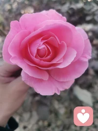 父母對孩子實質的打擊，來自對孩子情感的忽略或自己成人理解式的專橫！配圖