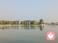 咨询感悟：
怎样判断一段关系是好是坏、是否该维持下去？非常简单，那就是当你身处这段关系的时候是否感觉到舒服愉悦，是否感觉到不断在提升成长，是否感觉到在被真心而不是形式上的宽容肯定，如果是就是好关系。如果你感觉被拉扯被否定或纠正，需要不断的去道歉、需要不断改变去适应、需要必须跟从对方的想法或价值观，即使有其中一项那就不是好关系。
​永远不要去想着改变对方，对于是否亲密，一部分用理智判断，一部分用直觉。尤其对于男女朋友，只筛选，不改变。否则必然陷入痛苦挣扎。配图