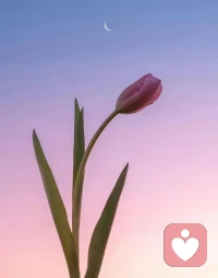 我們都要成為一個完全為自己的命運負責的人、對自己的感受忠誠的人、飽含深情的人、有彈性邊界的人、敢于向一切不確定敞開的人。配圖