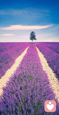 越大的成功，越不可能一蹴而就，越需要在背后付出巨大的代價。這些代價，是累積、是沉淀、更是延遲自己的滿足感。配圖