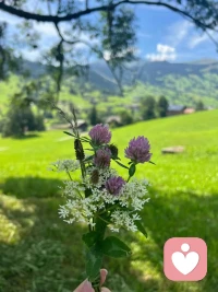 心理治療師要有一個可以接納的容器，就像一個孩子哭泣時母親接納孩子那樣，這個孩子就不會焦躁。如果咨詢師接不住病人的失控，他的咨詢就永遠停在膚淺的水平上。配圖