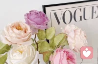 养身要养心：
内心平静、没有大的情绪波动；
遇事想得开、不耿耿于怀；
宽厚随和、不易激动；
悠闲自得、生活节奏慢、欲求少；
稳重安宁、随遇而安；

​配图