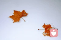 催眠手记：  
​             情绪的改变促进认知的改变
​            来访是一位即将退休的高校女干部！单位来了一位新领导，在一次工作过程中，被领导无端地pua,因此产生了极其愤怒的情绪，然后出现了胸闷、头胀的躯体化症状！来访的咨询目标是探讨一下在以后的工作中如何与该领导相处！
          通过三调放松后进入安全岛，在安全岛中沉浸十分钟后，胸闷头胀的感觉有所缓解！然后回溯到工作的场景中，通过利用空椅子技术，用语言来表达压抑在心中的愤怒，来访表达了二十多分钟，随着愤怒情绪有效的释放，躯体化症状也在慢慢地缓解，在情绪释放的过程中她从不同的视角来看待和该领导的关系时，内心变得从容坦然（认知的改变）！当语言表达完毕后，头胀、胸闷的躯体化症状还有些残留，然后再用变色技术、万能的手的技术去处理，最终躯体化症状完全消失，最后用空盒子技术把事件完全处理掉！
          来访被唤醒后，身体放松，内心平静，感到了自身内心的成长！

        
​配图