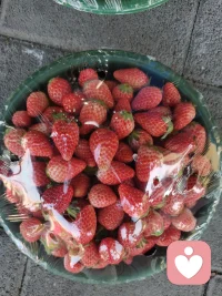 咨询感悟:
      在寒冬来临之际，陪伴了大半年的一个青少年来访正式结案了，今天和家长也完成了结案访谈，此刻心里有很多感受，在征得小来访和家长的同意之后，分享一下。
     个体咨询，我发现一个很有意思的现象，接的个体案中青少年和他们的父母占了至少一半。我想可能是因为多年和青少年、家长打交道的原因，很熟悉和理解他们的想法，这个“他们”有两个层面，一是家长，二是青少年。在青少年咨询中，如果不能和家长维持治疗联盟，这个咨询是注定走不久的，而这个联盟的尺度又很微妙，既不能完全站在家长一边，那孩子就会觉得：“你就是我爸妈找来对付我的，我才不会相信你呢！”但是你如果和孩子一起一直指责父母，一则咨询不是吐槽大会，ニ则也会引起父母的反感。而在家庭访谈中，不只一个父母向我表达，谈完以后他们轻松多了，其实只要父母能够不那么焦虑，他们真的能想到很多降低亲子冲突的方法，比所谓专家的建议更适合自己孩子，而且他们是最肯为孩子改变的人。
     我的这个个案如果没孩子妈妈坚持每个星期送她来，也不可能顺利结案。但是父母也是普通人，也需要理解、支持，我的工作也是要包括这部分的。
      最后想在说一句:只要家长不放弃，孩子永远有希望。配图