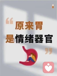 为什么孩子一紧张就肚子疼？
​为什么孩子一去学校就肚子疼？
​为什么压力大了就肚子疼？
​这里告诉你答案！
​我们的胃除了消化食物，
还要承受委屈、愤怒、焦虑等情绪配图