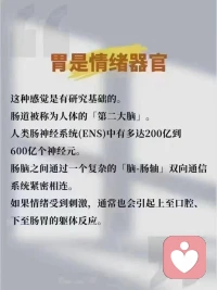 为什么孩子一紧张就肚子疼？
​为什么孩子一去学校就肚子疼？
​为什么压力大了就肚子疼？
​这里告诉你答案！
​我们的胃除了消化食物，
还要承受委屈、愤怒、焦虑等情绪配图