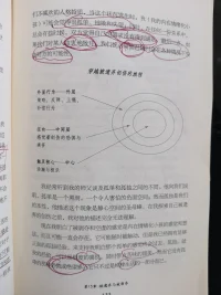 童年時期不同的心理創傷，對成年的我們的影響是無時無刻地，也是無意識的，而當我們走進伴侶關系后，這許許多多的創傷會被一個又一個的慢慢激活！而好的伴侶關系，是可以療愈我們深層的心理創傷噠！配圖