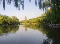 這段時間的學習經歷、咨詢經歷、個人經歷后，對有關良好的伴侶關系的一些感悟或許是這樣的：
一、首先我會學著如何愛我自己，愛自己的身體，愛自己的內心，愛自己的過去，愛自己的現在，當我真正地學會愛自己的時候，才有能力愛你！
二、我會勇敢地向你表達我的需求與界限！你也可以勇敢地向我表達你的需求：（你對成長的需求、物質的需求、情緒地需求、生理的需求）和界限！
三、我們需要擁有共同相處的空間，也都可以擁有各自獨立的空間（精神的空間、物理的空間、人際關系的空間），我們各自獨立，彼此陪伴！
四、我們共同的部分， 我們彼此擁有，你和我不同的部分，我會尊重與接納！
五、我不會嘗試去改變你，我會多探索自己的內心，調整自己的行為！我們都可以做真實的自己，而不是虛假的自己！
六、我會學著不帶情緒地向你表達我的想法、感受、需要！
七、在我們各自成長的過程中都有自己心靈的傷痛，我會勇敢地卸下我的防御和自己的人格面具，告訴你我的心靈傷痛，希望你能夠看到我的心靈傷痛！你也可以這樣做！好的關系可以療愈我們彼此的心靈傷痛！
八、每個人的內心會有兩個部分：成人的部分與內在孩子的部分，在我們相處的過程中，當我的內在孩子的部分跳出來時，如果我沒有覺察，你可以及時的提醒我，我們及時調整，進入各自的成人的部分！
九、我們合理期待，相互理解，各自成長，彼此守望！配圖
