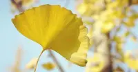 和焦慮和解，不要去執(zhí)著這些東西，有些東西你是改變不了的，能改變的是什么，就是讓自己安靜下來，豐富自己，過好自己的生活！配圖
