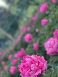 把過往的誤解、過往的情緒全部清理掉
心才會有空間！配圖