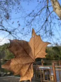 楊絳先生曾說：“不用踮起腳尖，愛你的人會彎腰，仰視是尊重，彎腰也是。”在意你的人，更喜歡你做回自己，不在意你的人，你費力討好也無益

當你成為最好的自己，不再踮起腳尖做人，好運也將主動向你靠近

愿你有拒絕他人的勇氣，也有輕裝簡行的魄力！配圖