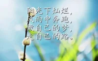 滿懷熱忱感受生活奧秘，于繁雜中感知別樣的溫柔。鬼馬少年用一片赤之之心融入自然，傾聽自然的呼喚。配圖