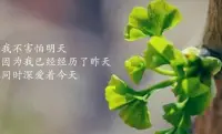 無所畏懼，勇往直前，陽光開朗，每天一點點，慢慢強大。配圖