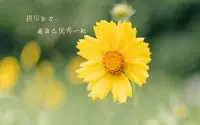 不要輕易放棄，因為你都不知道自己有多么優(yōu)秀。配圖