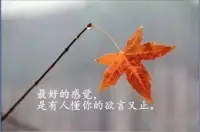 愛是你的手把我的傷口撫摸，愛是用我的心傾聽你的憂傷歡樂。配圖