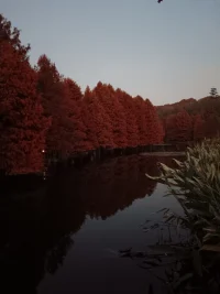 秋意濃，
感冒細菌猖狂，
及時增減衣服，
適量運動，
積極樂觀面對！配圖
