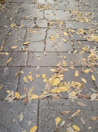 特別憤怒的時候，
找個安全的地方，
把滿腔怒火發泄出來，
好似秋風掃落葉，
踏過一地雞毛，
歸來仍是王者！配圖