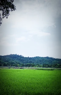 人的磁場真的很重要，你是誰就會遇到誰。

欣賞你的人因你的自信而來，欺負你的人因你的軟弱而來，你遇到的人都是因你而來，你的運氣也因磁場而來。當你愿意善待自己，世界才會是你想要的樣子。

為這一生好運，愿我們知足知不足，有為有不為。配圖