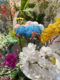 ?對于可控的事情保持謹慎
對于不可控的事情保持樂觀
???配圖